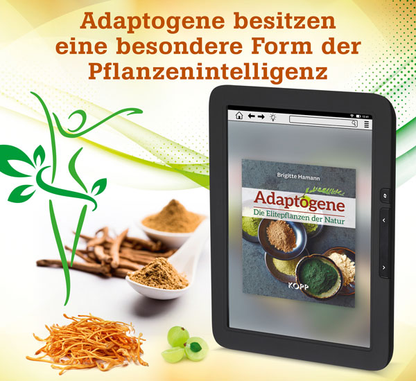 Adaptogene  Die Elitepflanzen der Natur