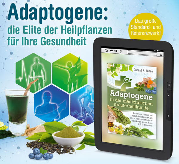 Adaptogene in der medizinischen Kruterheilkunde