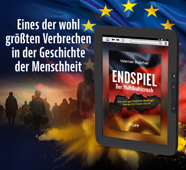 Endspiel - Der Multikulticrash