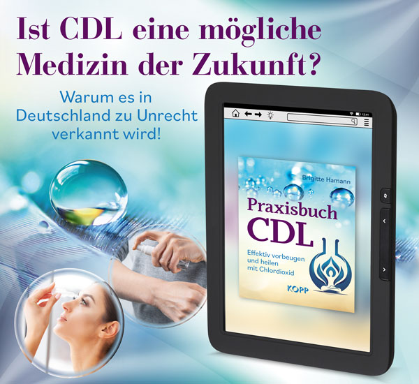 Praxisbuch CDL