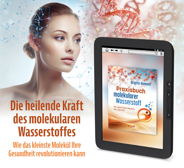 Praxisbuch molekularer Wasserstoff