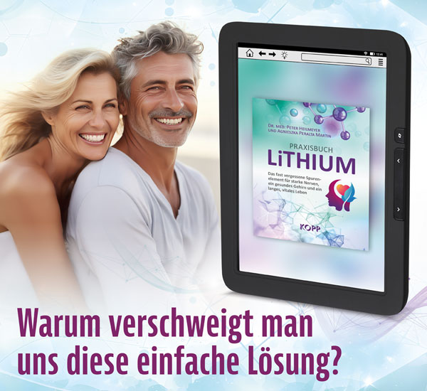 Praxisbuch Lithium