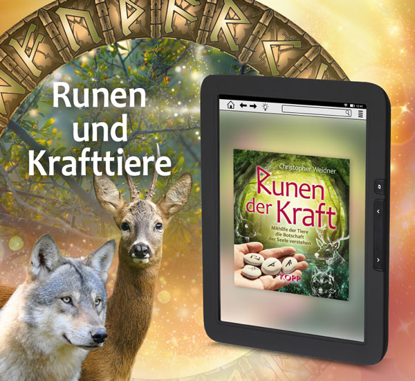 Runen der Kraft