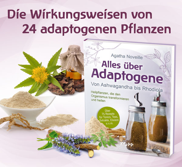 Alles ber Adaptogene