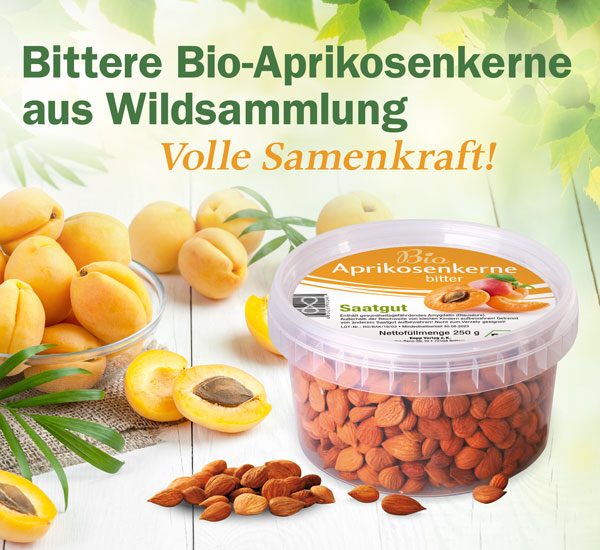 Bio-Aprikosenkerne bitter Saatgut