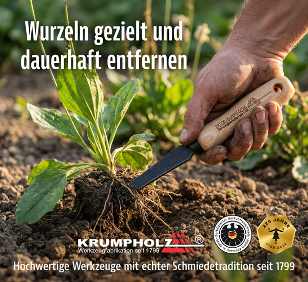 Krumpholz� Bio-Unkrautstecher mit Eschengriff