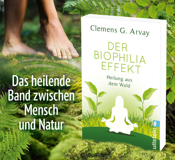  Der Biophilia-Effekt 