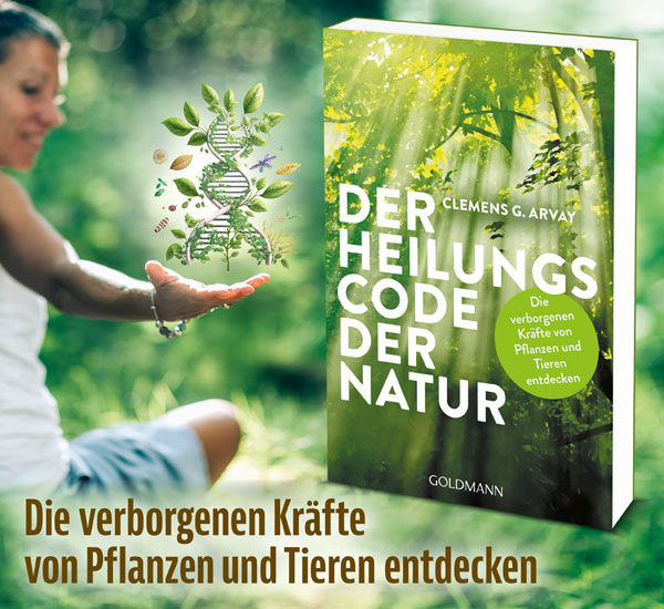 Der Heilungscode der Natur