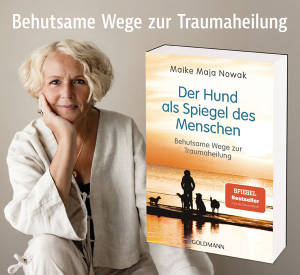 Der Hund als Spiegel des Menschen