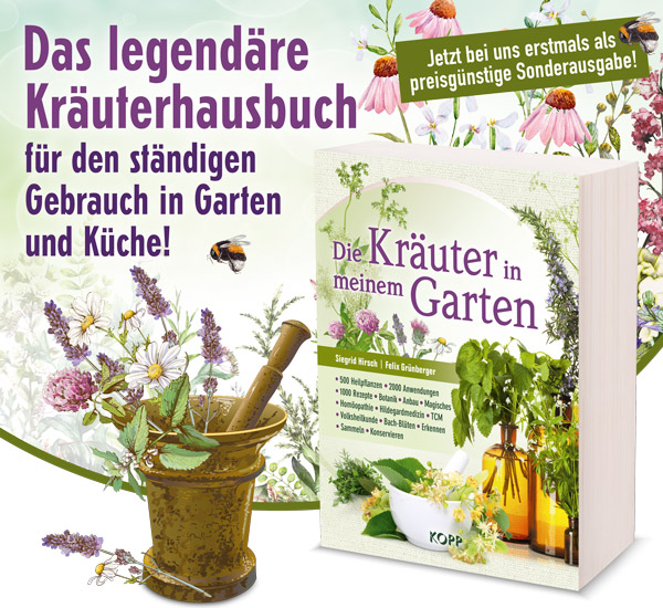 Die Kruter in meinem Garten