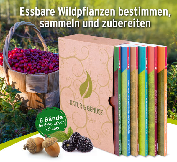 Die Natur & Genuss-Box