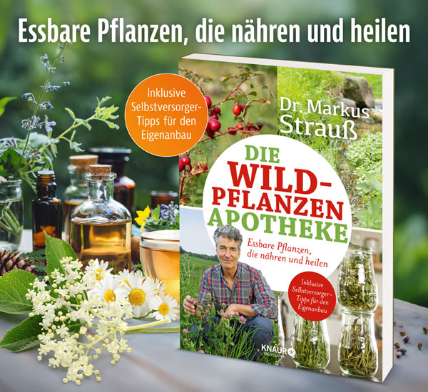Die Wildpflanzen-Apotheke