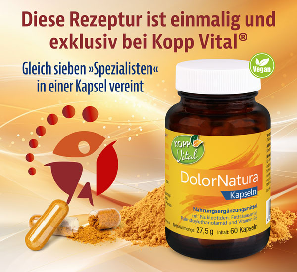 Kopp Vital   DolorNatura Kapseln mit PEA (Palmitoylethanolamid)