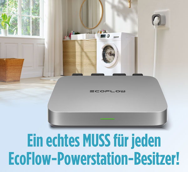 EcoFlow Micro Inverter 800 W / Mikrowechselrichter / für Ihr Hausstromnetz