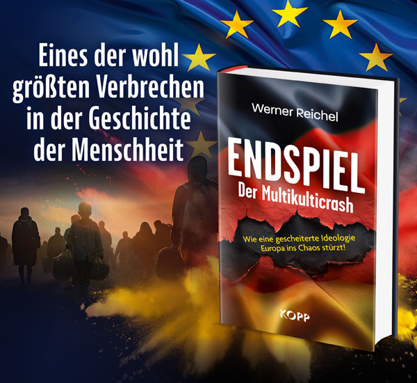 Endspiel - Der Multikulticrash