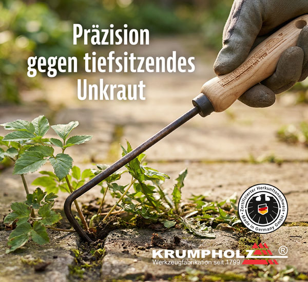 Krumpholz� Giersch-J�ter und Kleinfugenreiniger mit Eschengriff