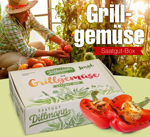 Die Grillgemse-Saatgut-Box