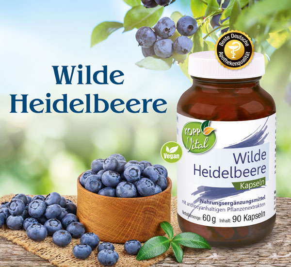 Kopp Vital   Wilde Heidelbeere Kapseln