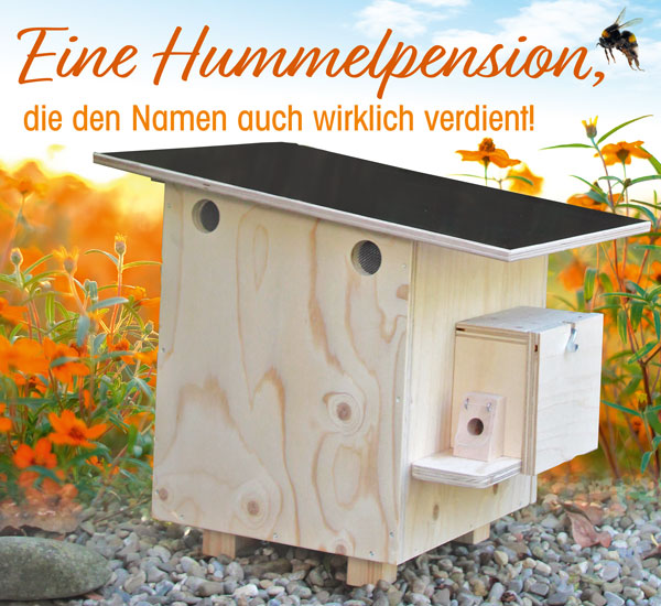 Hummelpension