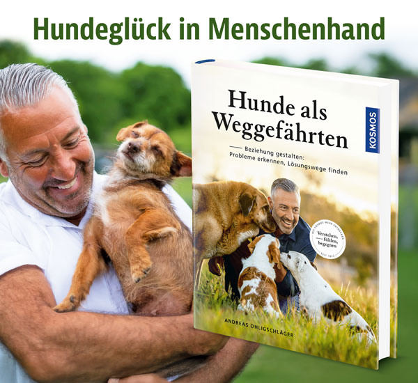 Hunde als Weggef�hrten