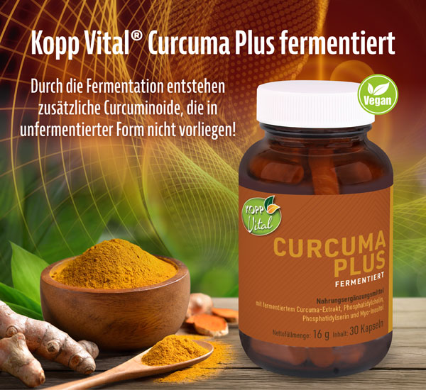 Kopp Vital   Curcuma Plus fermentiert Kapseln mit Curcumin und Phospholipiden in hchster Bioverfgbarkeit