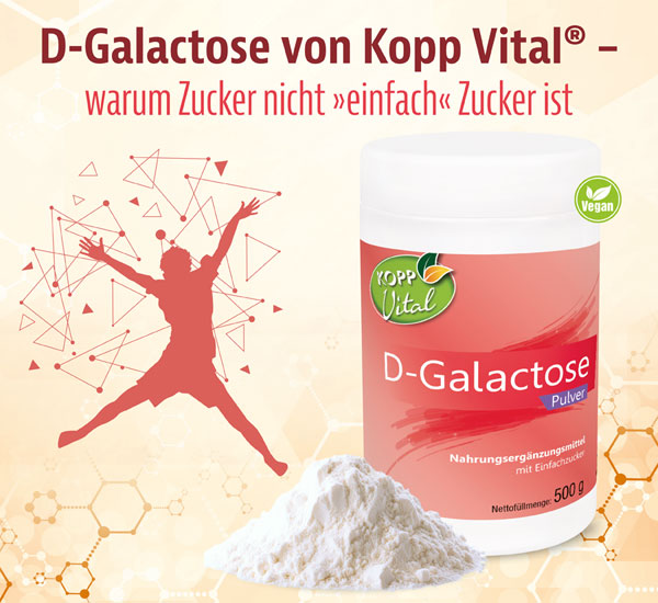 Kopp Vital   D-Galactose Pulver