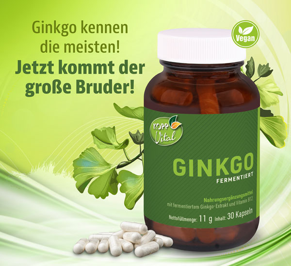 Kopp Vital ®  Ginkgo fermentiert Kapseln in Premiumqualität mit Vitamin B12