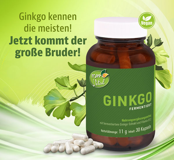 Kopp Vital   Ginkgo fermentiert Kapseln in Premiumqualitt mit Vitamin B12