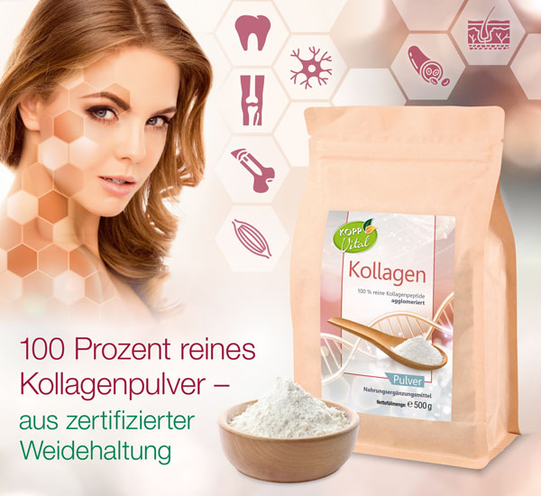 Kopp Vital ®  Kollagen Pulver / zertifizierte Weidehaltung / Kollagenhydrosat / Kollagenpeptid / 91% Eiweißgehalt