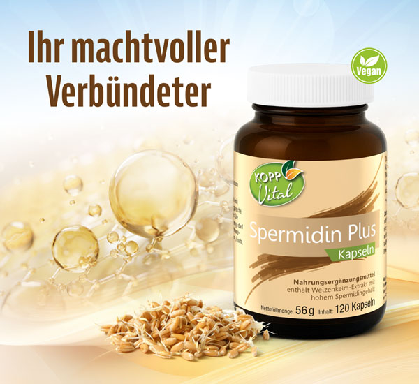 Kopp Vital Spermidin Plus / 120 Kapseln