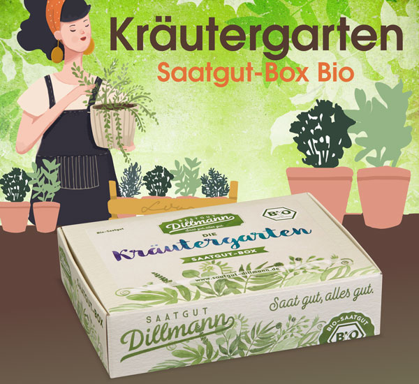 Die Kräutergarten-Saatgut-Box Bio