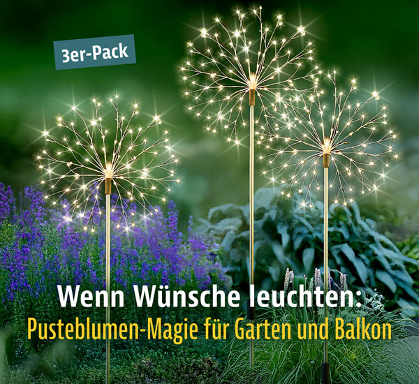 3er-Pack LED-Gartenstecker Pusteblume