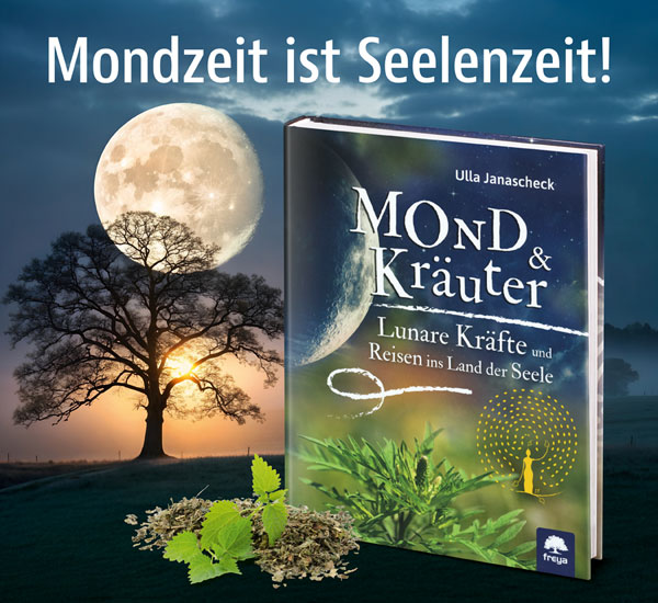 Mond & Kruter