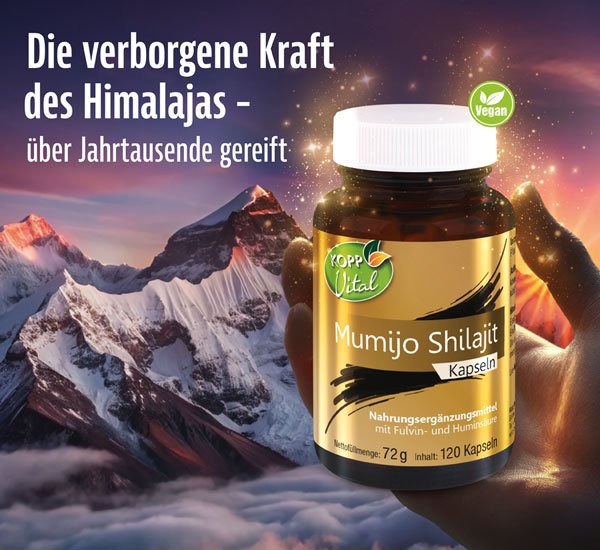 Kopp Vital   Mumijo Shilajit Kapseln