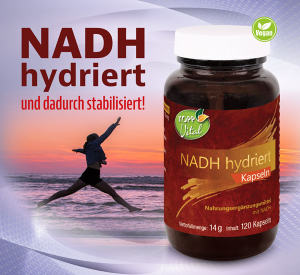 Kopp Vital   NADH hydriert