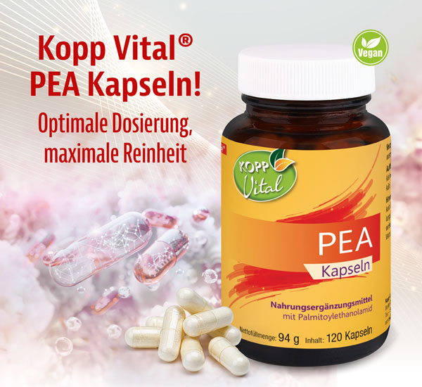 Kopp Vital   PEA Kapseln