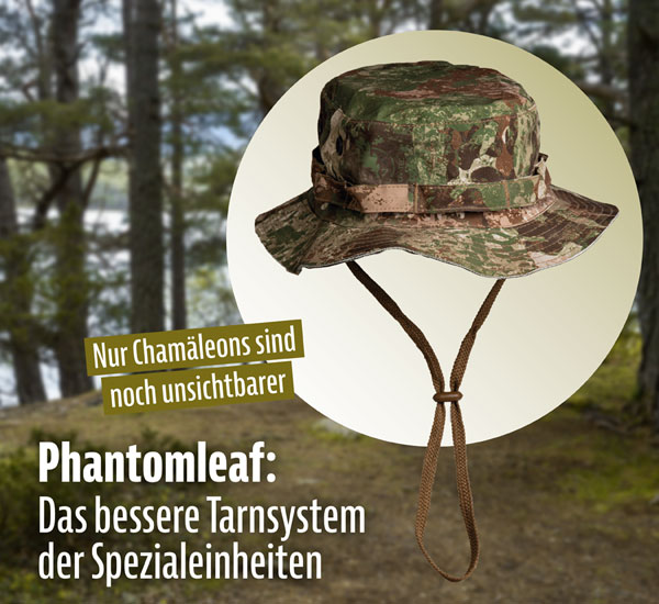Hut WASP I