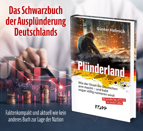 Plnderland: Wie der Staat die Deutschen arm macht - und bald sogar vllig ruinieren wird