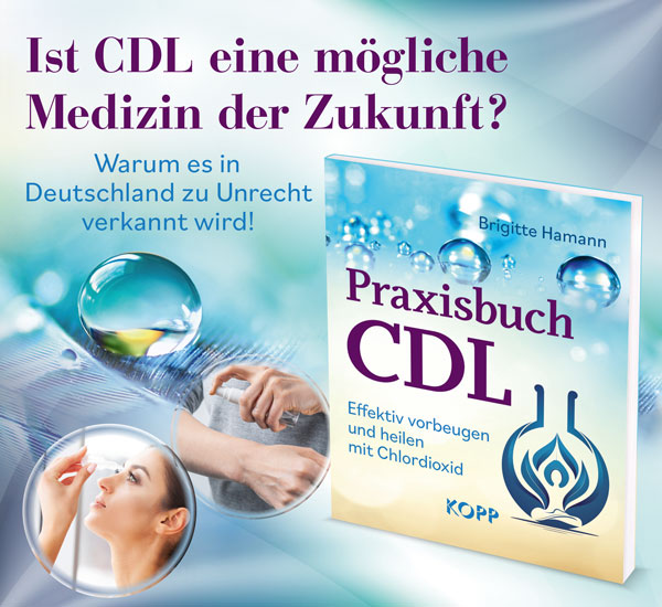 Praxisbuch CDL