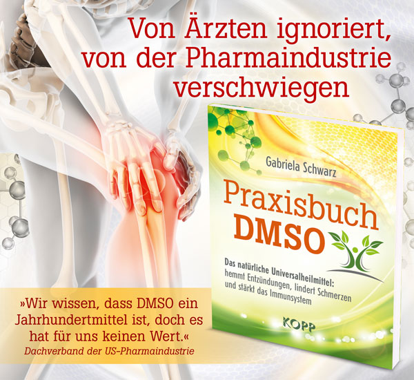 Praxisbuch DMSO