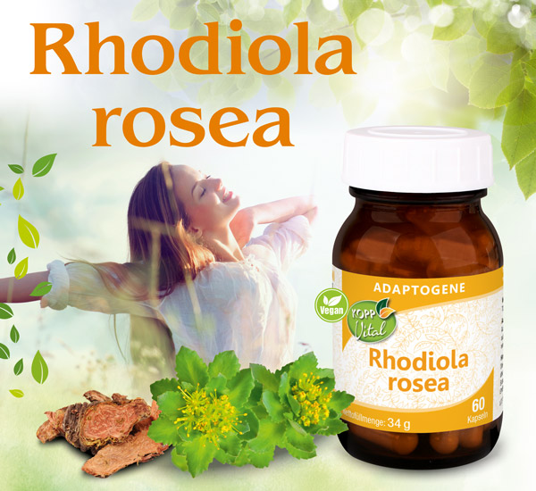 Kopp Vital   Rhodiola rosea (Rosenwurz) Kapseln