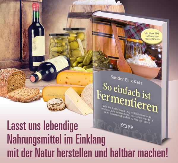 So einfach ist Fermentieren