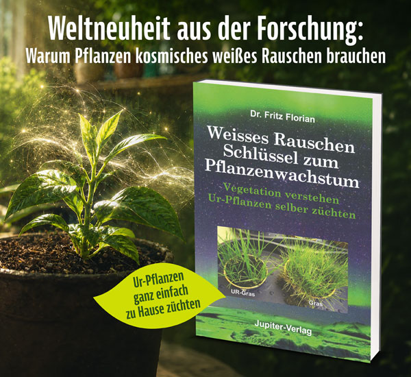 Weisses Rauschen - Schl�ssel zum Pflanzenwachstum