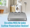 EcoFlow Micro Inverter 800 W / Mikrowechselrichter / für Ihr Hausstromnetz_small_zusatz