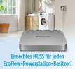 EcoFlow Micro Inverter 800 W / Mikrowechselrichter / fr Ihr Hausstromnetz_small_zusatz