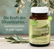 Kopp Vital   Olivenblatt-Extrakt / 400 mg / 120 Kapseln_small_zusatz