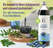 LOOV Bio-Wildheidelbeersaft 500ml aus 100% wilden Heidelbeeren / kaltgepresst_small_zusatz