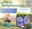 Gemeine Wegwarte - Mein Heilpflanzengarten_small_zusatz