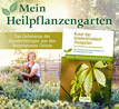 Kraut der Unsterblichkeit Jiaogulan - Mein Heilpflanzengarten_small_zusatz