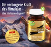Kopp Vital Mumijo Shilajit Kapseln - 650 mg_small_zusatz
